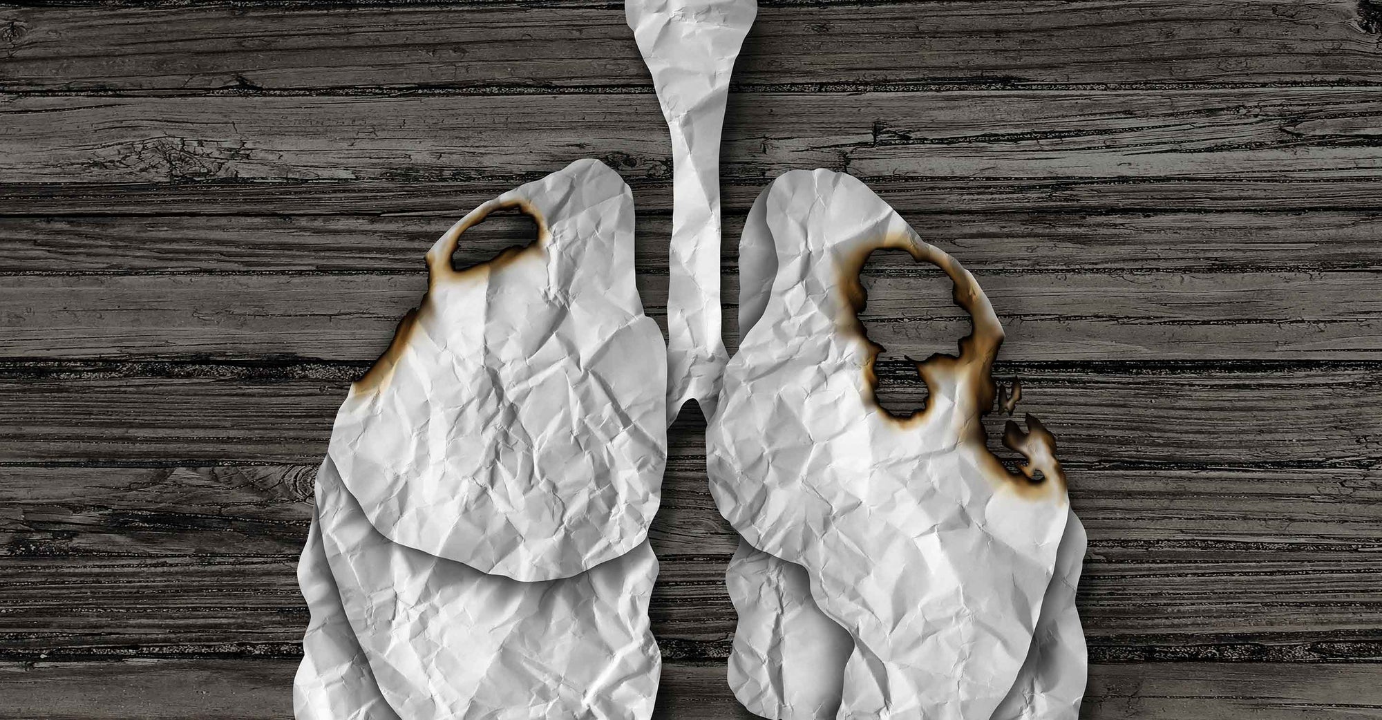 Lungs affected by cancer