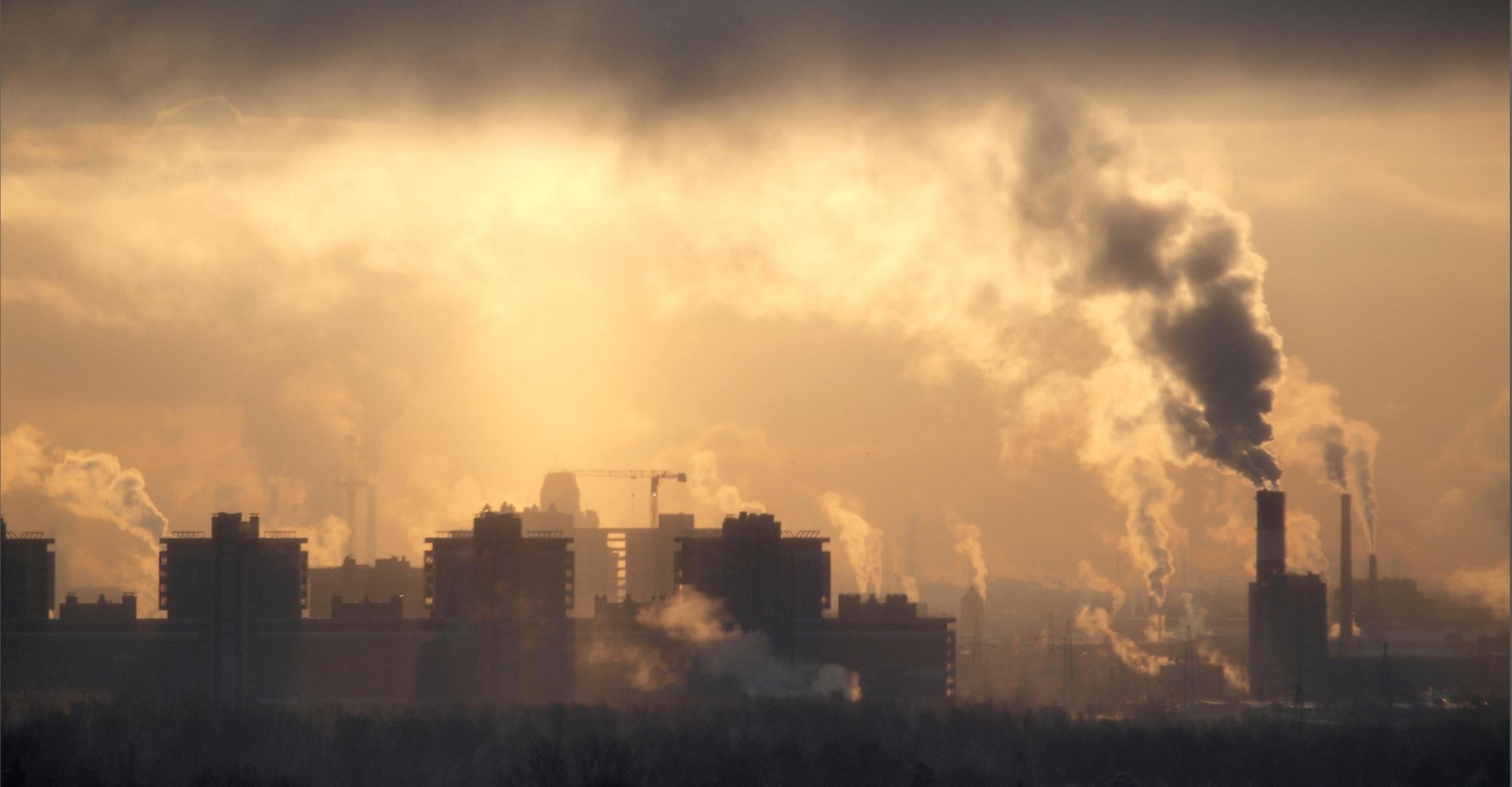 Air pollution in summer increases heart-attack risk