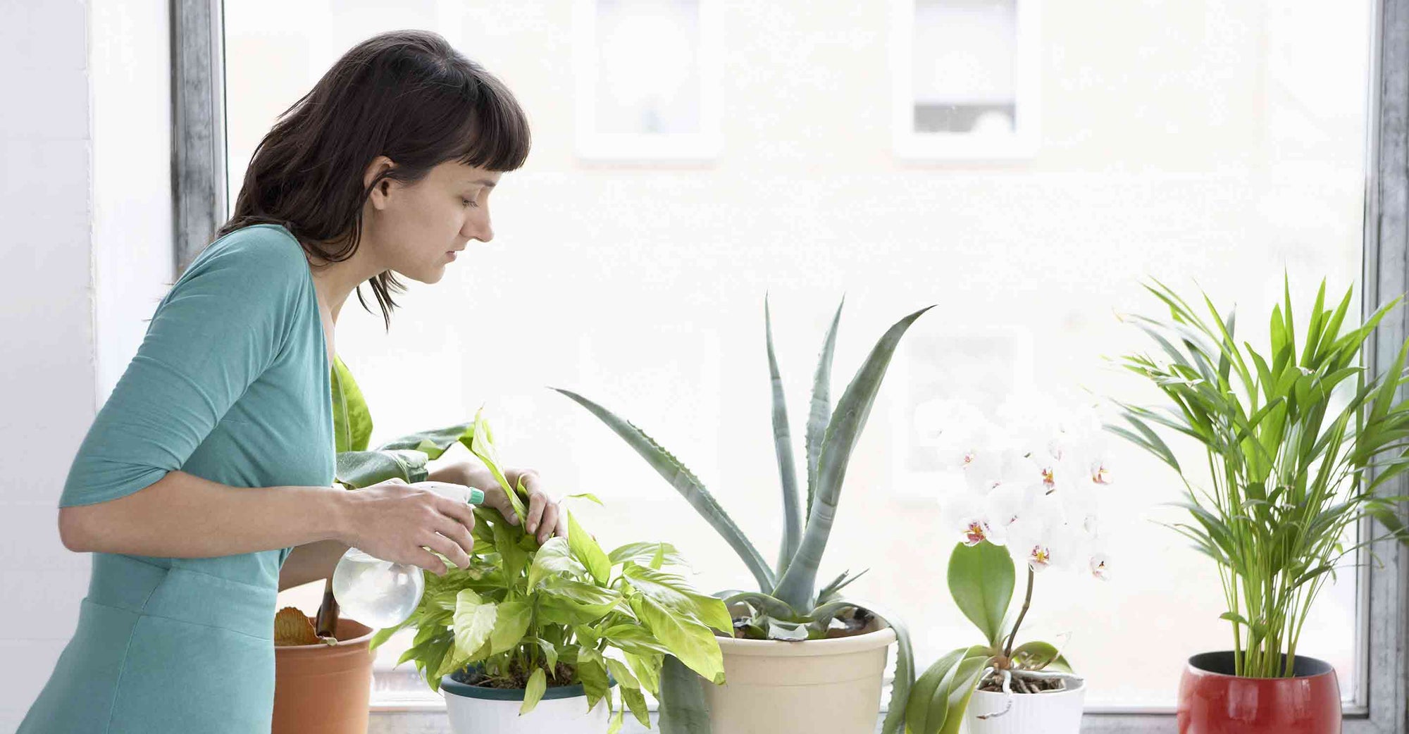 Woman watering her plants