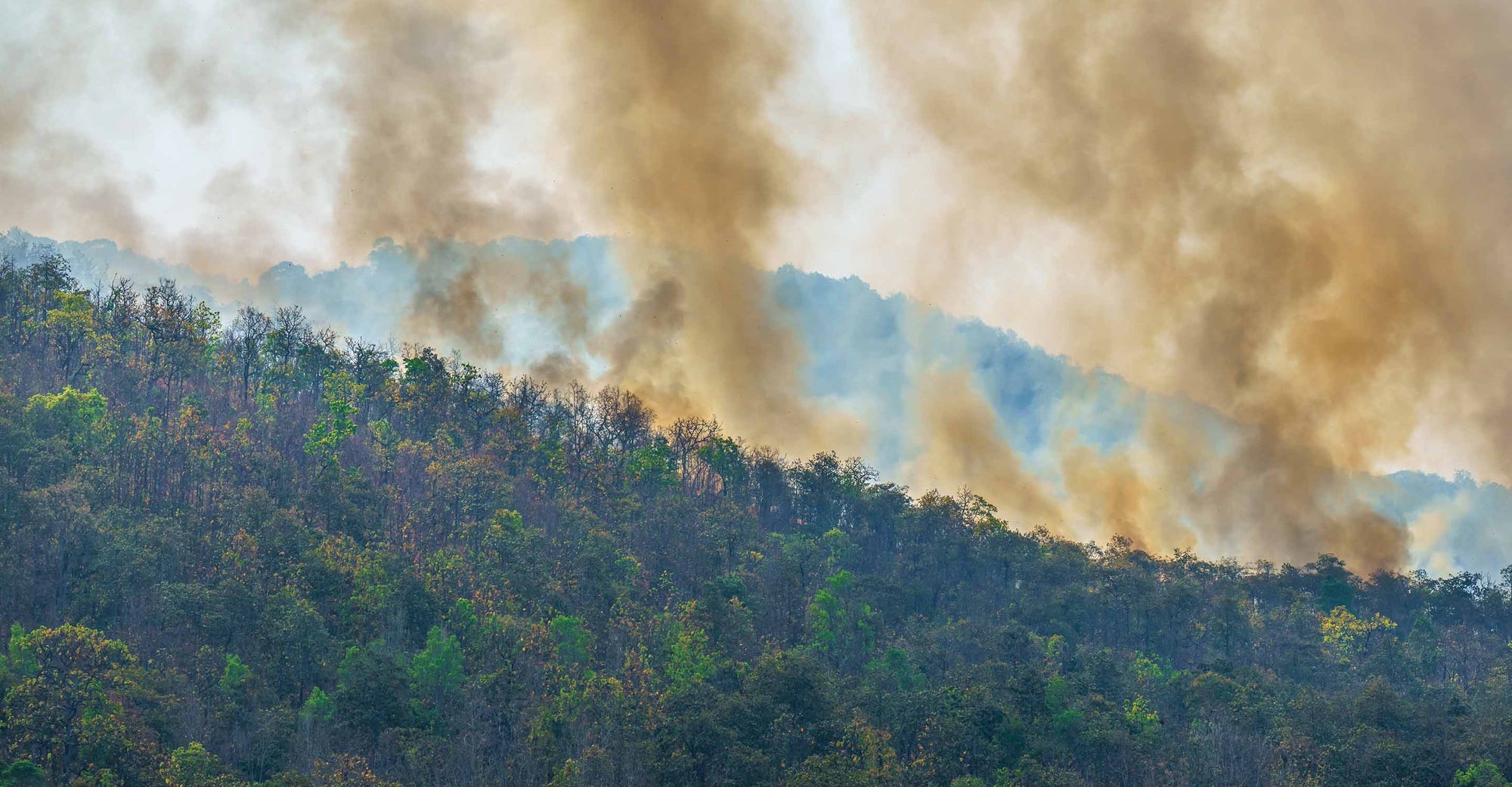 Amazon wildfire smoke billows into the air.