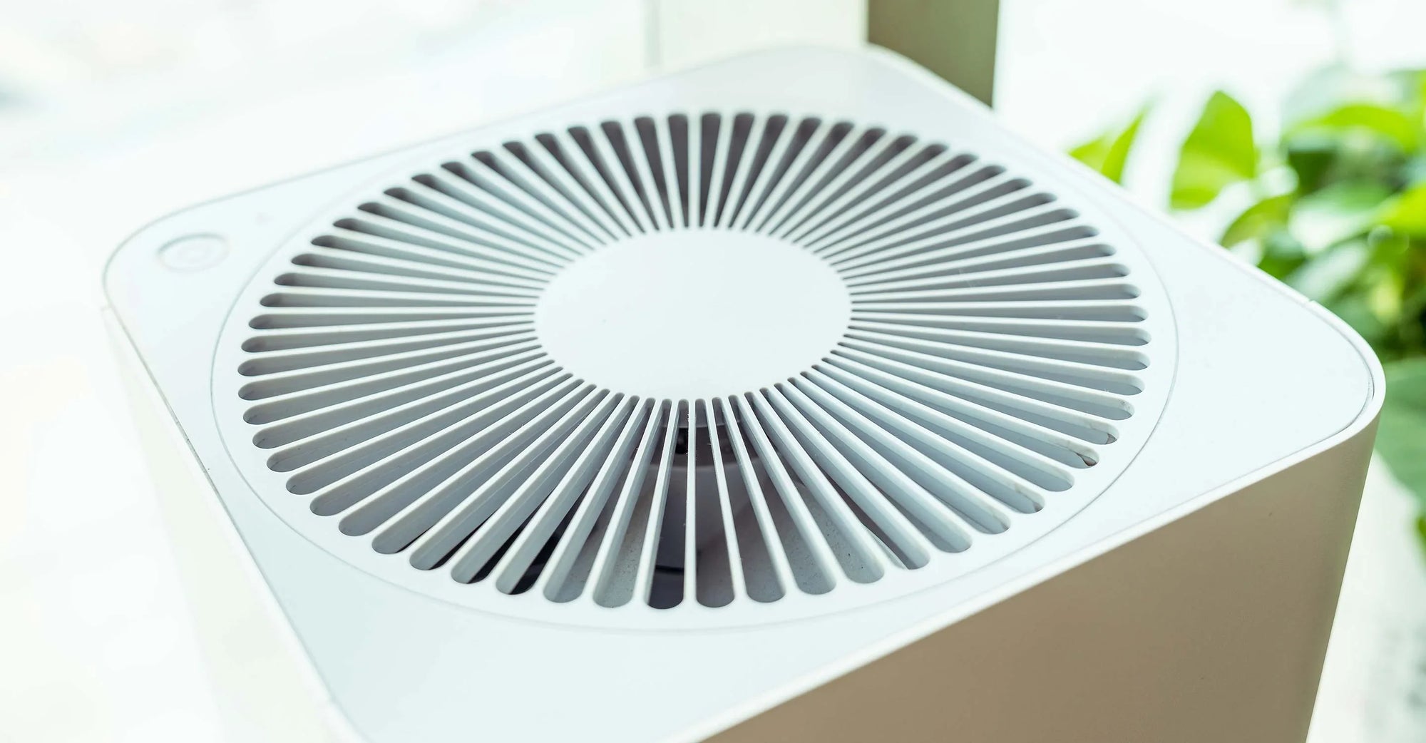 Do air purifiers work? Air purifier myths and facts debunked