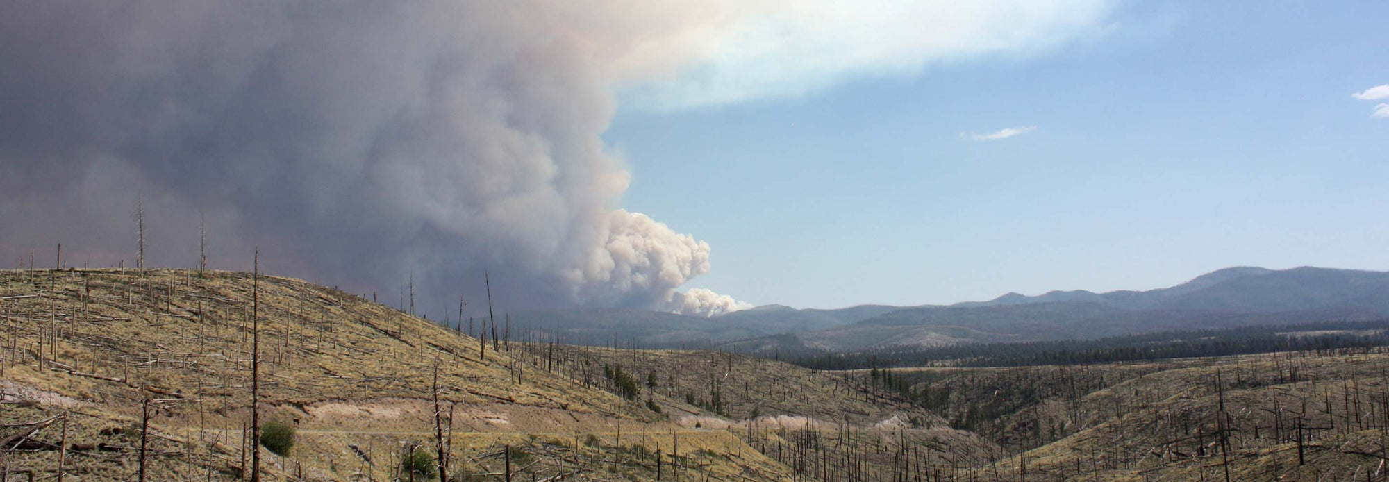 Smoke rises in the New Mexico wilderness