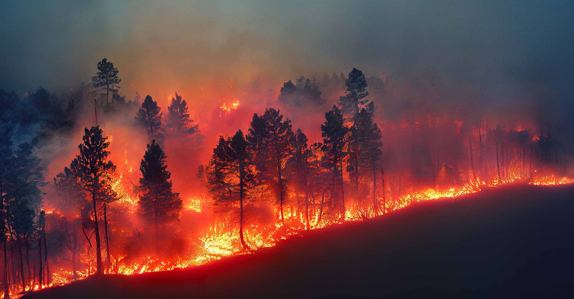 Fire burning trees on a hill