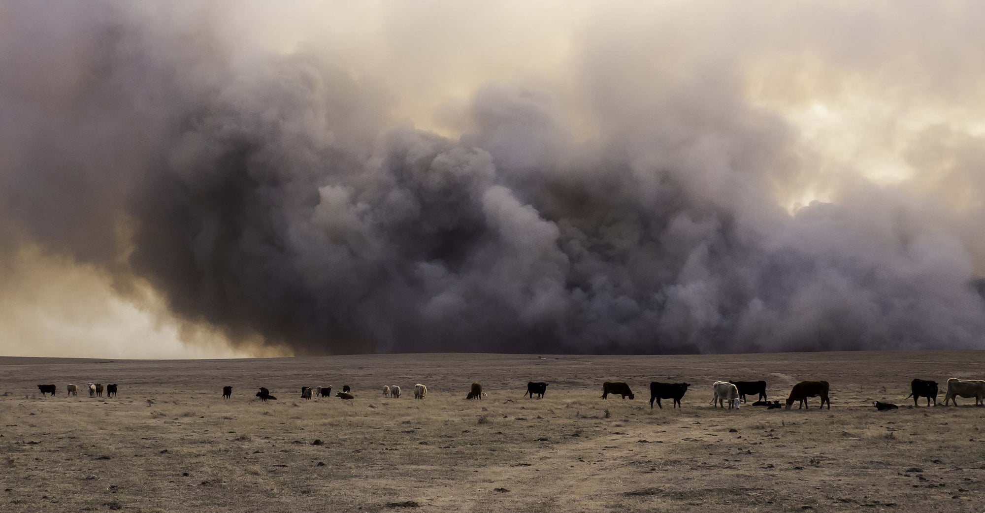 Large cloud of smoke above plains