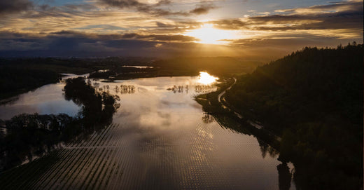 Indoor Air Quality Alert: Pacific Northwest Bomb Cyclone