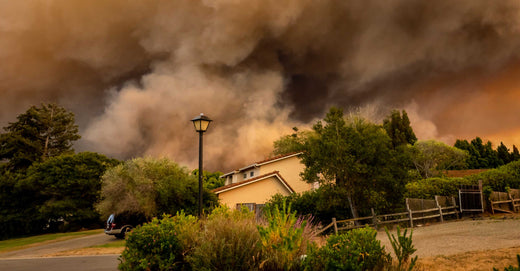 wildfire smoke behind house