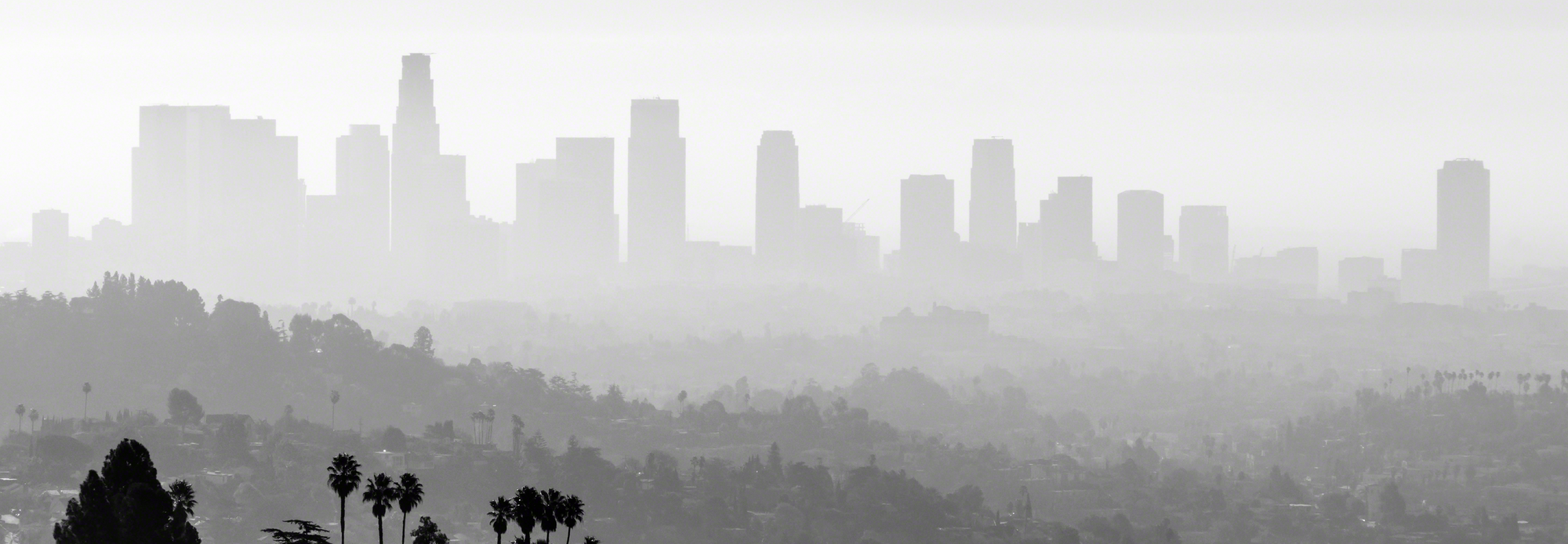 Hills with Downtown Los Angeles in background