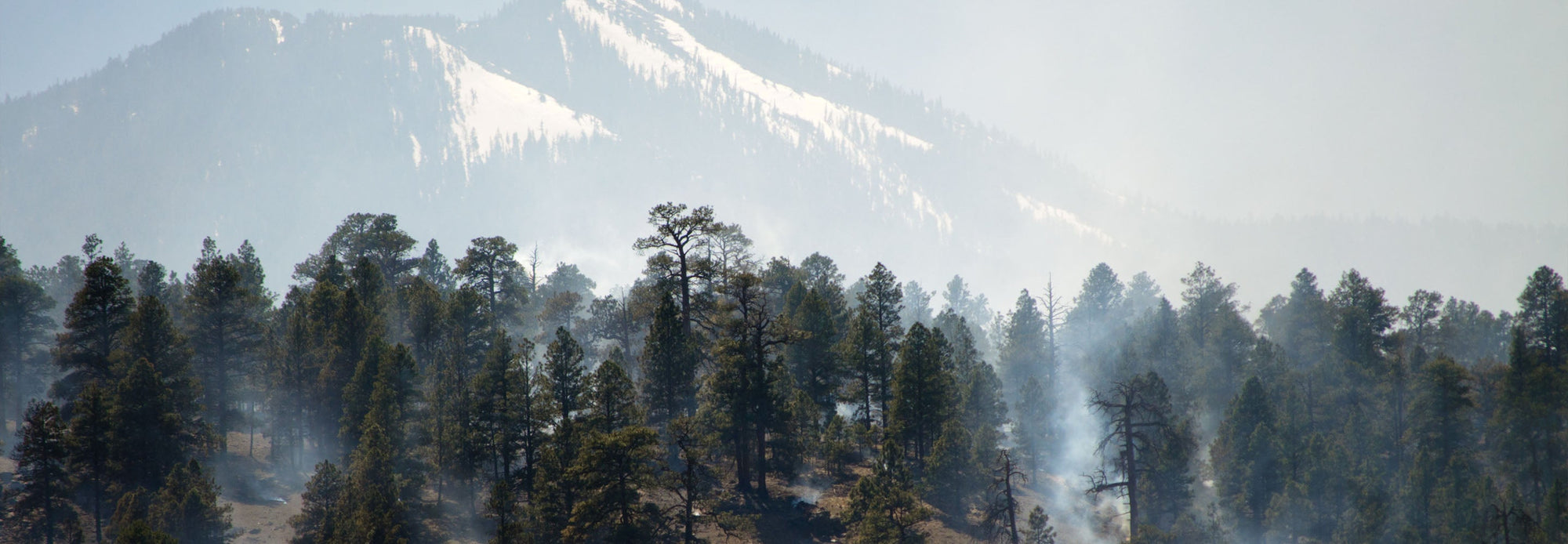 Smoke seen in the Coconino National Forest