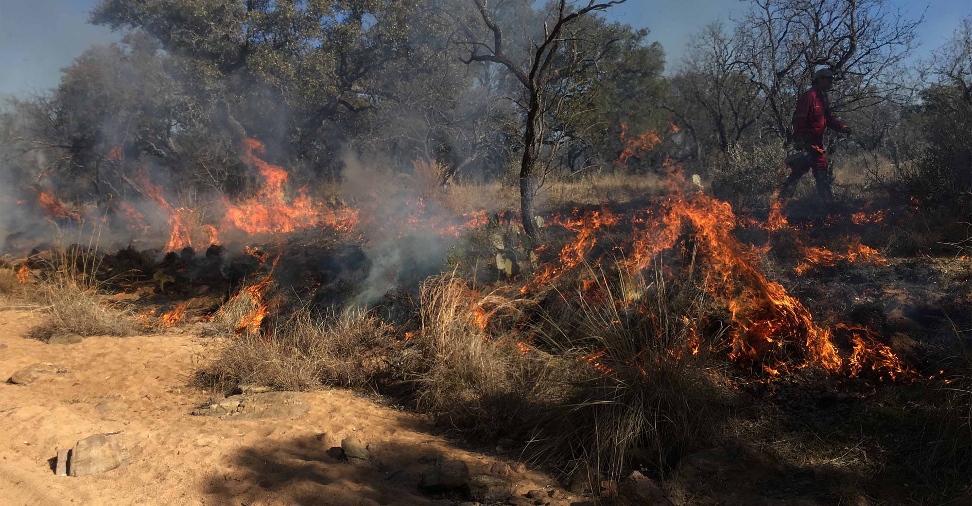 Wildfire Map Spotlight: Mason County, Texas