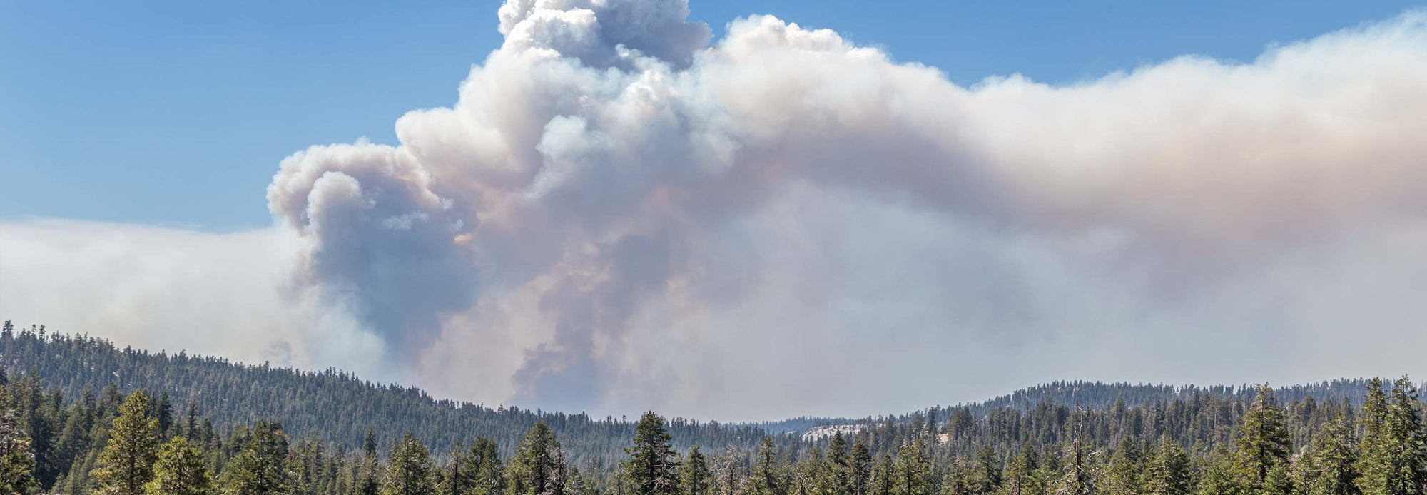 Wildfire in Stanislaus National Forest.