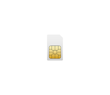 SIM card